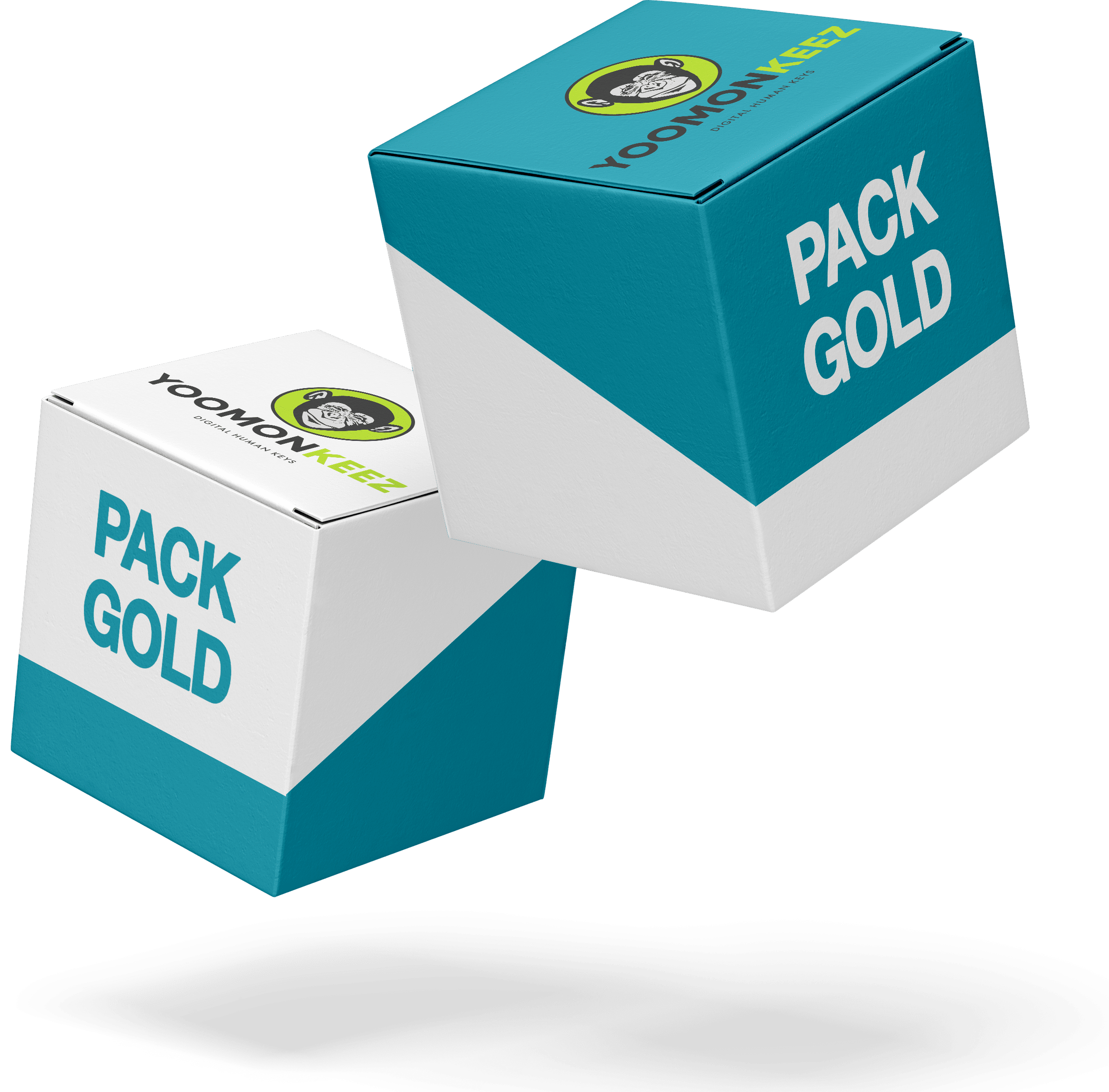 Pack Gold Microlearning