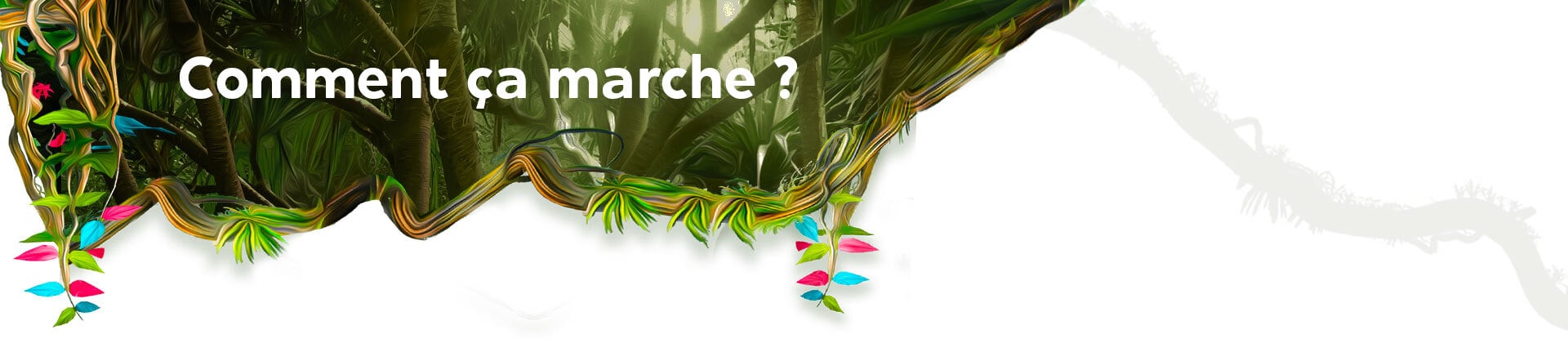 Comment ça marche la solution microlearning ?